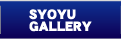 SYOYU�@GALLERY